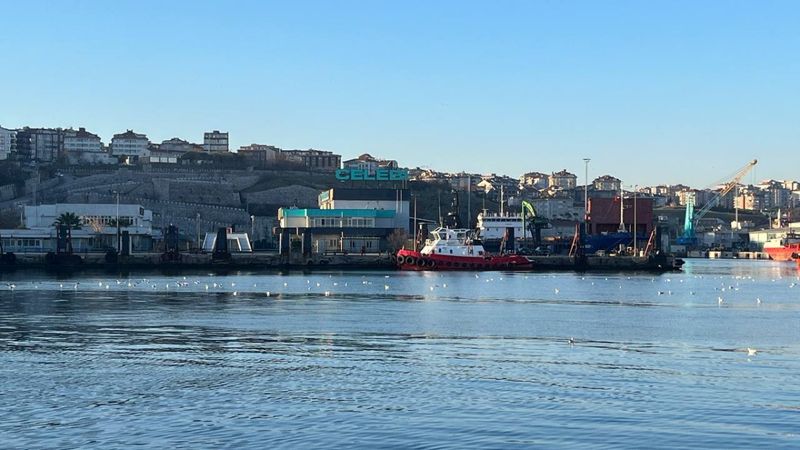 İthal hayvanları taşıyan yılın ilk gemisi Bandırma'ya yanaştı