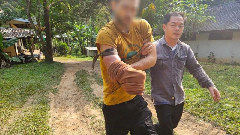 Tayland'da ayı saldırısından kurtulmak istedi: Kendi kolunu kesti