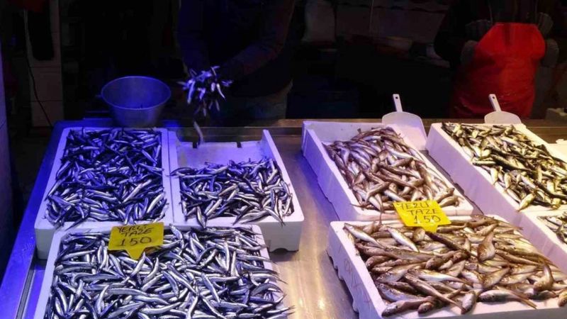 Fiyatıyla şaşırttı! Trabzon'da hamsinin kilosu 150-180 TL arasında