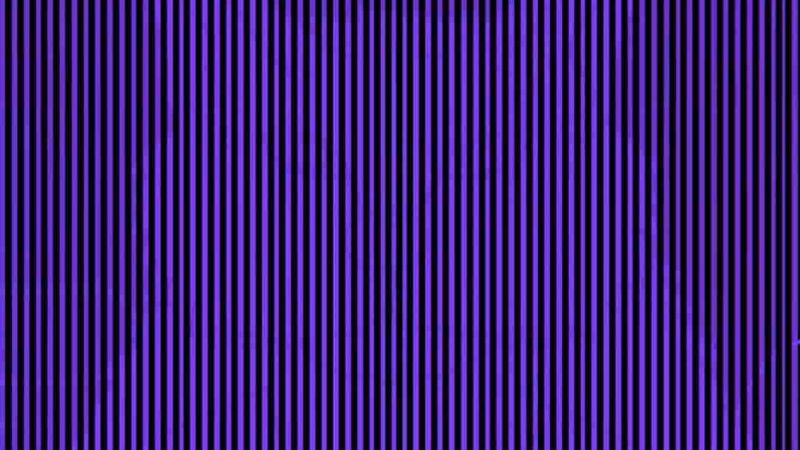 Optik İllüzyon Göz Testi: İnsanların yalnızca %5'i gizli hayvanı 4 saniyede bulabiliyor!