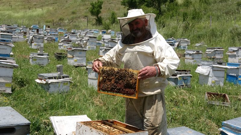 Yozgat'ta gezgin arıcılar nakliye gelirlerinin artmasından şikayetçi