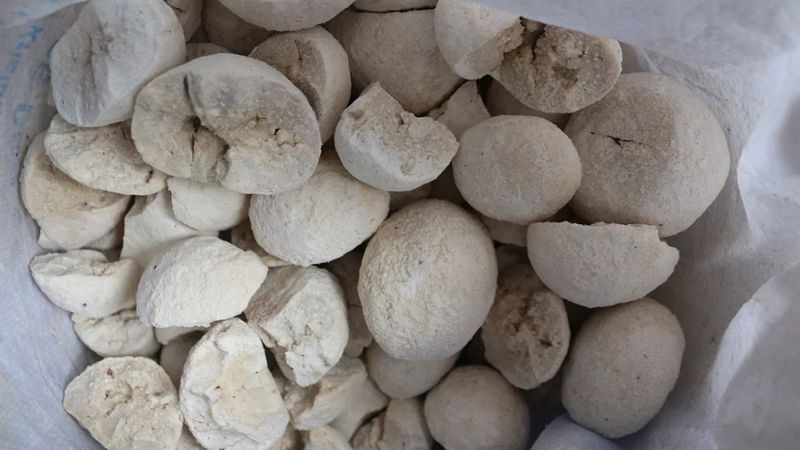 Adeta doğal antibiyotik: Şeker, tansiyon, kalp hastalığı bırakmıyor… Kilosu 200 lira