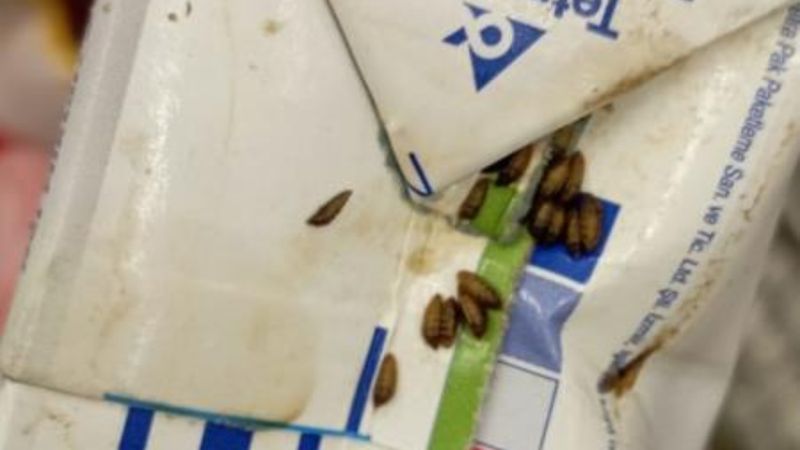 Kocaeli'de markette mide bulandıran görüntü