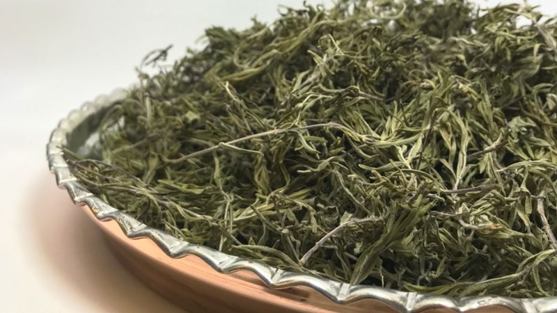 Bir tutamı bile şifa dağıtıyor! Roma döneminden beri kullanılan bitki...