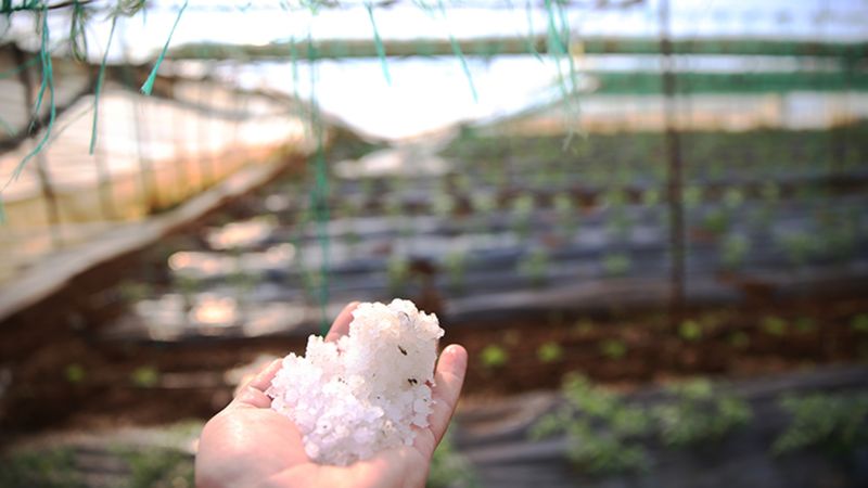 Alanya'da dolu: 50 dönümlük sera zarar gördü