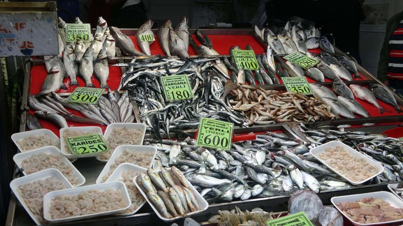 Çanakkale'de 'denizin prensi' lüferin kilosu 900 TL oldu