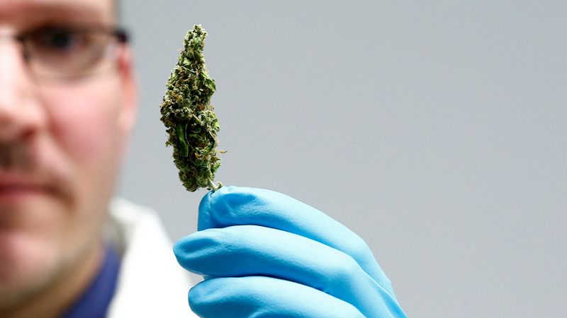 Almanya'da eğlence amaçlı esrar kullanımı yasallaştı