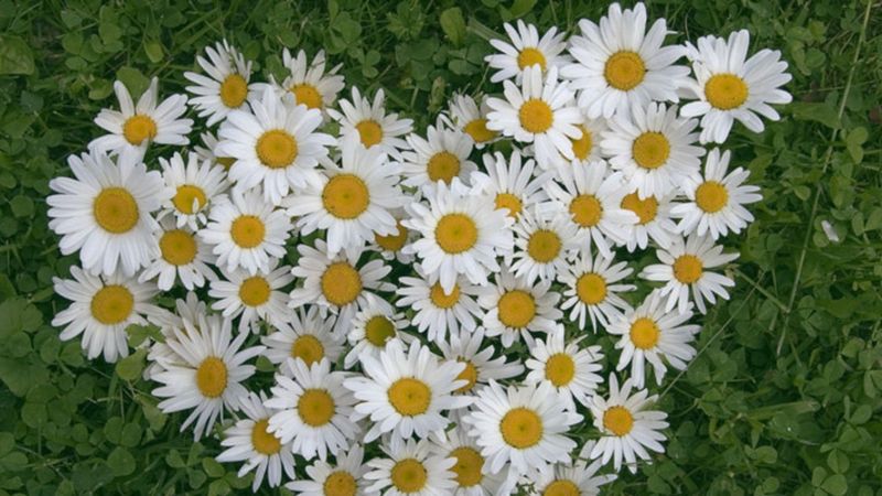 Üçüncü cemre toprağa düştü mü? Üçüncü cemre ne zaman düşecek?