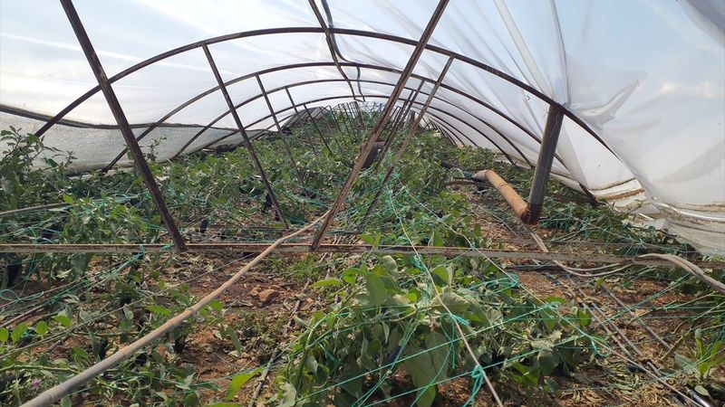 TARSİM: Antalya'daki hortumdan etkilenenlere 39 milyon TL ödeme yapıldı