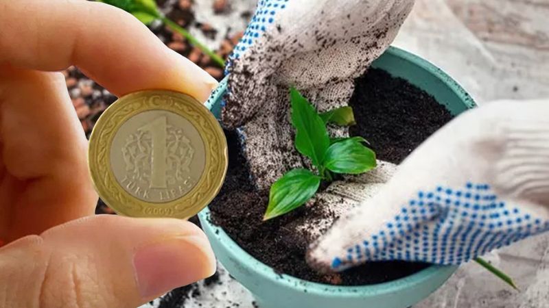 Saksının içine bozuk para koyun, neler oluyor izleyin…