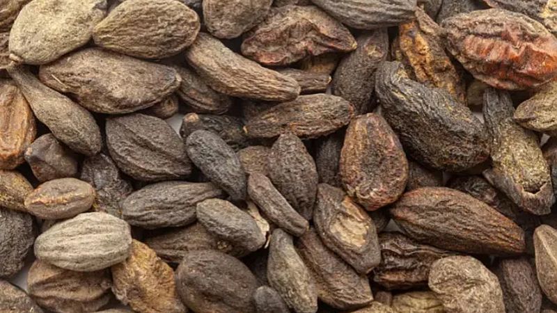 Kara halile nedir? Kara halile bitkisinin faydaları nelerdir?