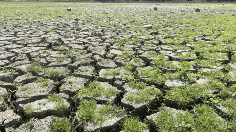 Tehlike sürüyor: Marmara'da yağışlar yüzde 56 azaldı