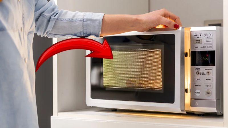 Mikrodalga fırınların camındaki bu ızgara bakın ne işe yarıyor