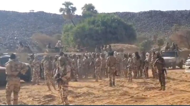 Çad'da çobanlarla çiftçiler çatıştı: 42 kişi öldü