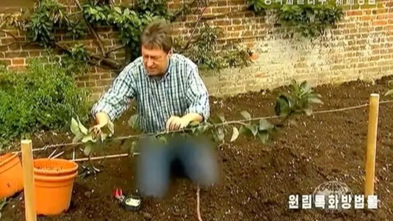 Kuzey Kore'de devlet televizyonu kot pantolonunu sansürledi