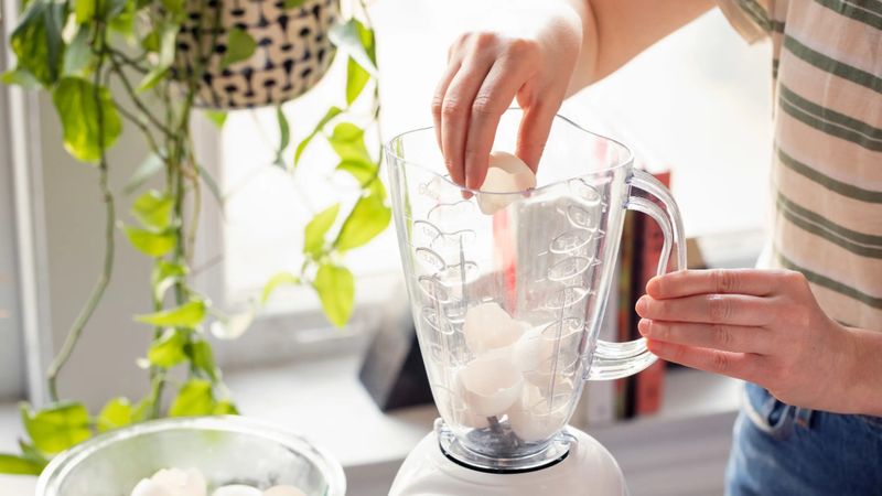 Bıçakları bileyleme ustası: Yumurta kabukları!