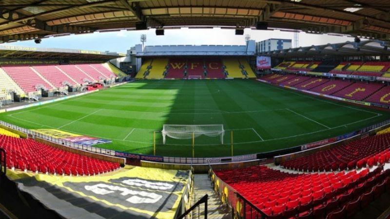 Watford'un halı gibi zemini viral oldu! Türk takımları örnek alsın