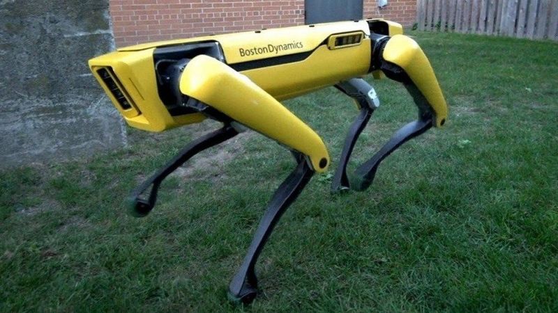 Tarihte bir ilk: Robot köpek silahlı çatışma sırasında vuruldu