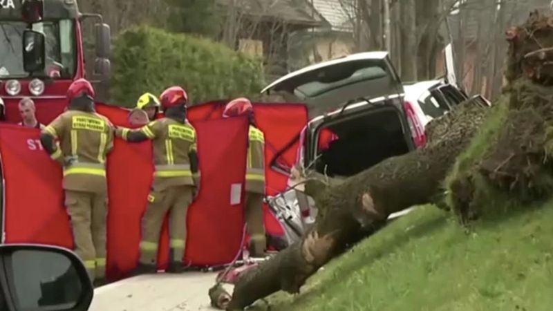 Polonya'da şiddetli rüzgarlar ağaçları devirdi: 5 ölü