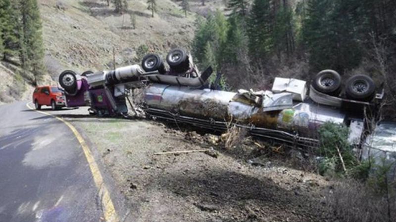 ABD'de 25 binden fazla somon balığı trafik kazasında öldü