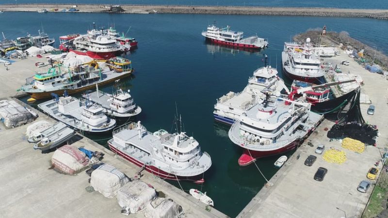 Karadeniz’de hamsi sezonu erken bitti