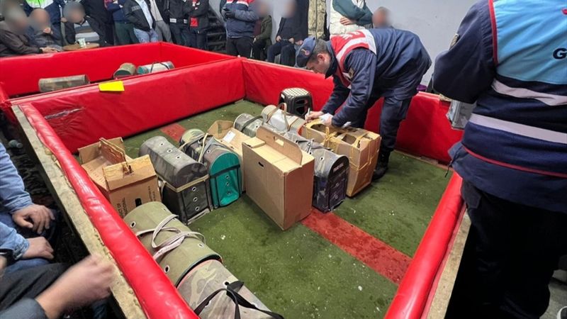 Zonguldak'ta horoz dövüşçülerine baskın: 41 kişiye 673 bin 500 TL ceza kesildi