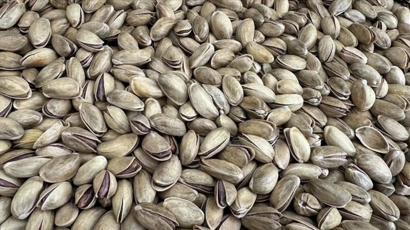 Türkiye'den 3 ayda 73,8 milyon dolarlık fıstık ihraç edildi! En çok İtalya'ya gönderildi