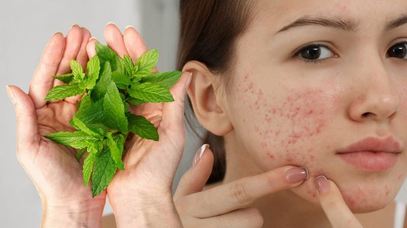 1 avuç nane yetiyor: Gece yüzüne süren sabah böyle uyanıyor