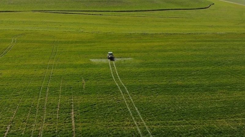 TÜİK açıkladı: Tarım üretici fiyatları martta aylık yüzde 5,57 arttı