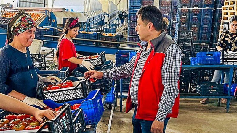 Turizm şehri Muğla'nın Ortaca ilçesi tarım ürünleriyle de dünya pazarlarında