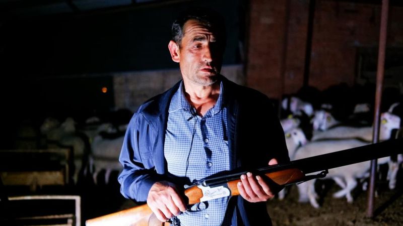 Edirne'de köy halkının başı kurtlarla belada... Çözümü bakın nasıl buldular