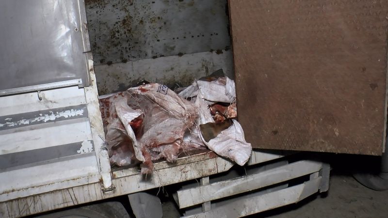 İstanbul'da gecekonduya at eti baskını