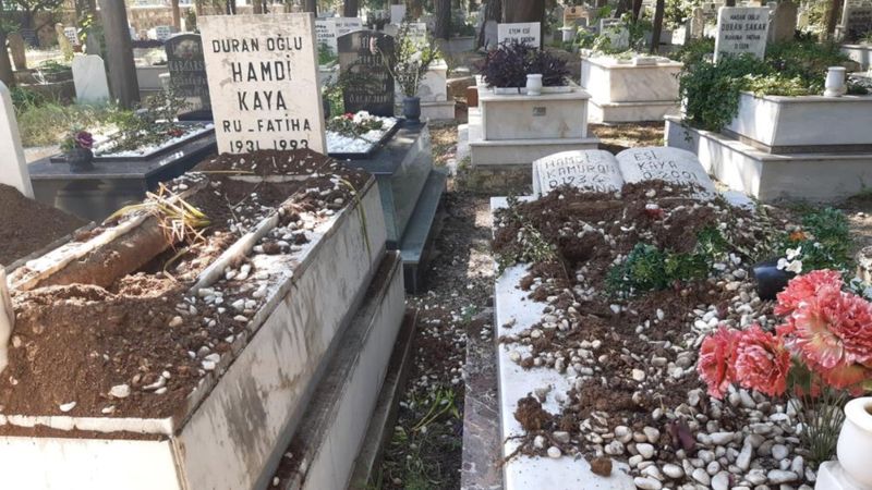 Muğla'da domuzlar mezarlara da dadandı