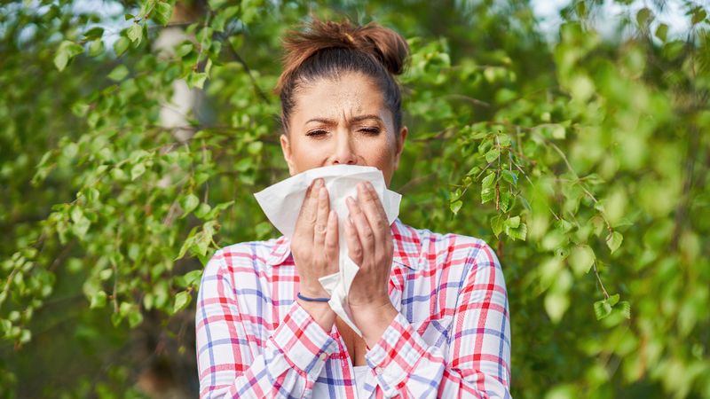 Uzmanlardan Türkiye'ye Afrika tozu uyarısı: Alerjisi olanlar ne yapmalı?