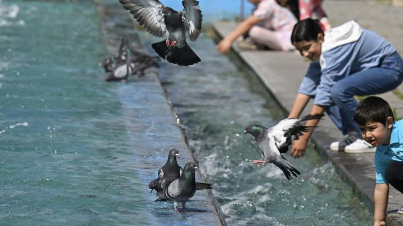 Meteoroloji yayınladı: Sıcaklıklar salı gününden itibaren artacak