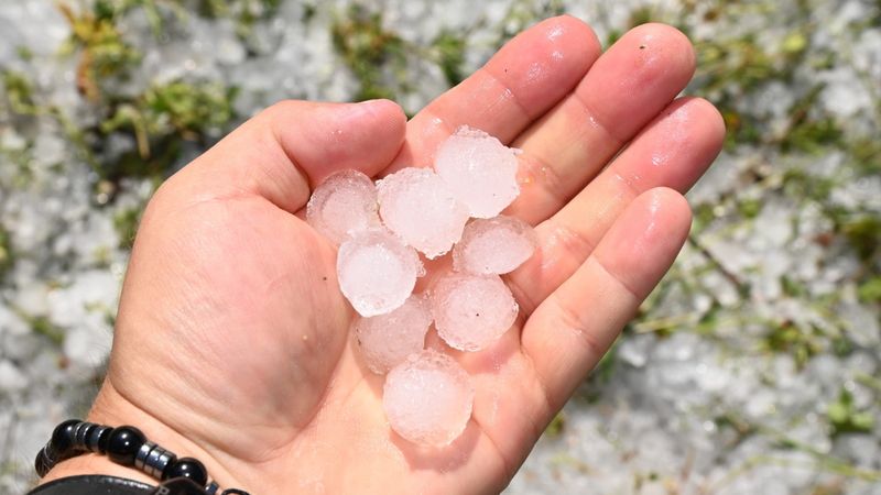 Antalya'da fırtına ve dolu tarım alanlarına ve kovanlara zarar verdi