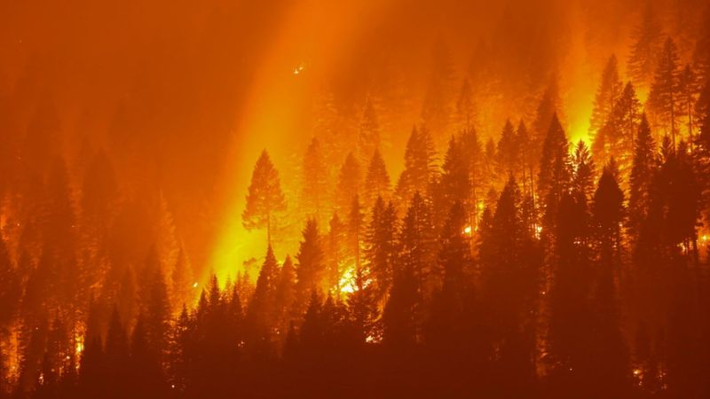 Dünya için 'felaket' senaryosu: En az 2,5 derece ısınmaya doğru gidiyoruz