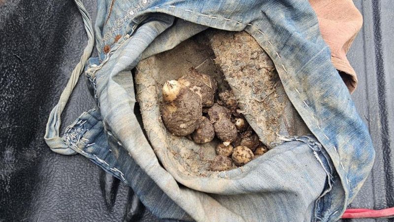 Tunceli'de salep toplayan 10 kişiye 3 milyon 871 bin 410 lira ceza kesildi