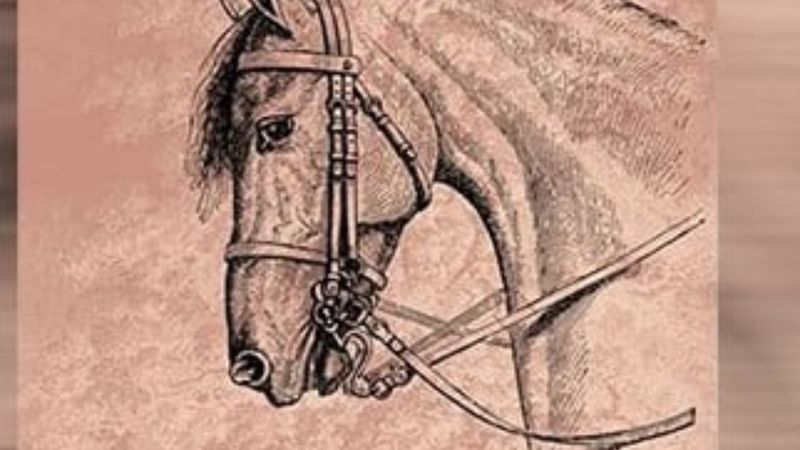 Kederli bir coğrafyanın düşündüren dokunaklı romanı: Heder Ağacı