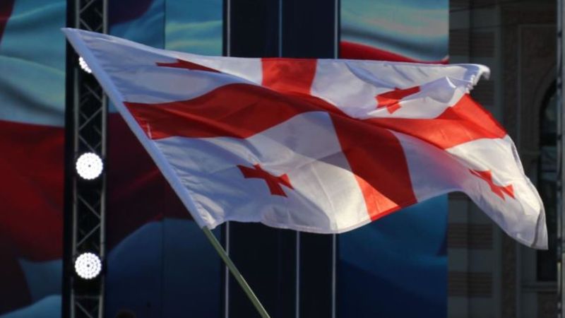 Gürcistan'da 'Yabancı etkinin şeffaflığı' yasası veto edildi