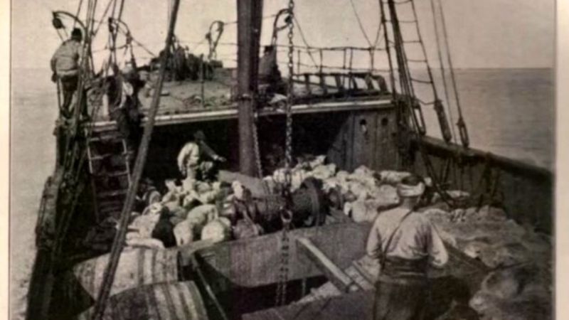 Bandırma Vapuru'nun bilinen tek fotoğrafı