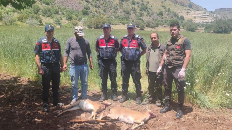 Malatya yaban keçisi avına 613 bin 980 lira ceza