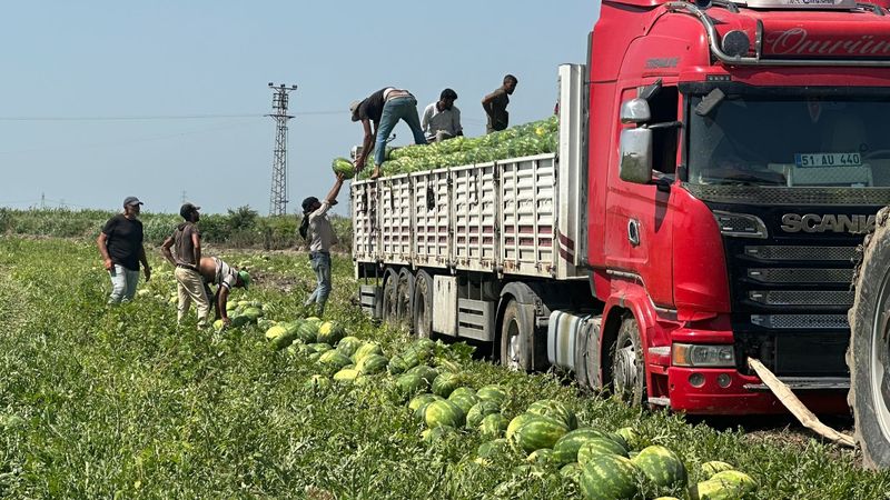 Adana'da sıcak hava karpuzları yaktı: Fiyatı iki katına çıktı