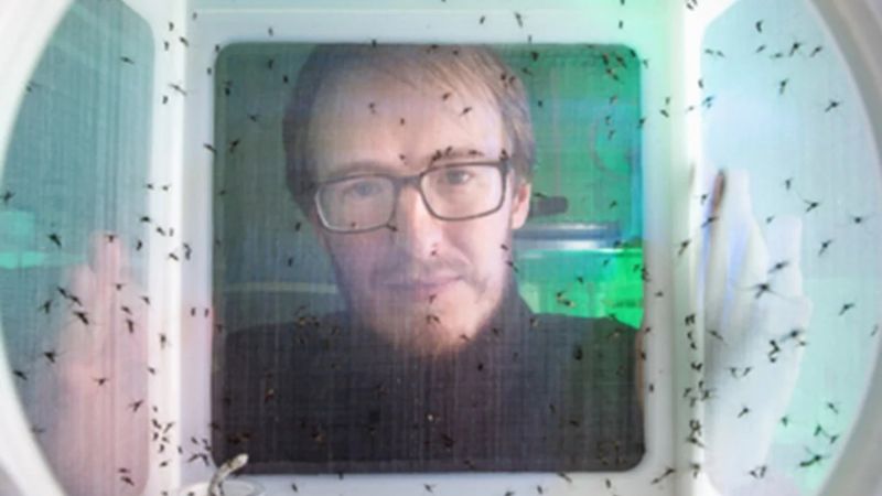ABD'de kanını sivrisineklere veren adam şaşkına çevirdi