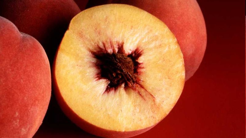 Bursa Şeftalisi, AB’den coğrafi işaret tescili aldı