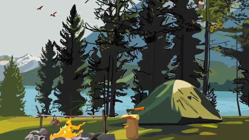 Dikkat Testi: Resimdeki baykuşu 9 saniyede bulun, 20/20 görüşe sahip olduğunuzu kanıtlayın…