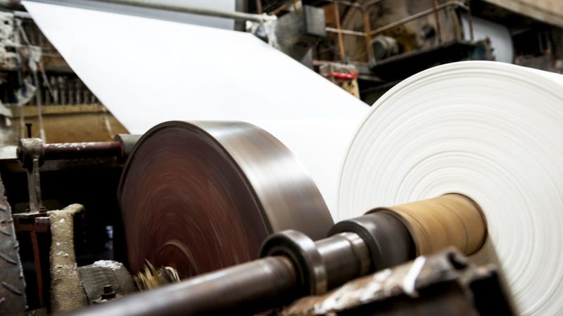 Kağıt nasıl yapılır? Adım adım kağıt yapım süreci...