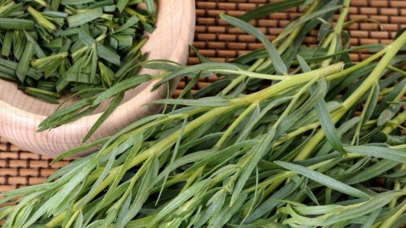 Tarhun nedir? Tarhunun faydaları nelerdir?