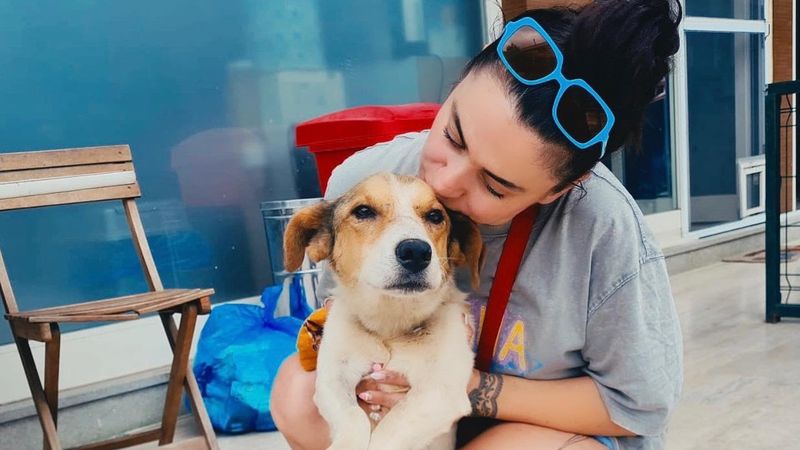 Şarkıcı Ceylan Ertem'den taciz itirafı: Evimin camına dayanıp mastürbasyon yaptılar