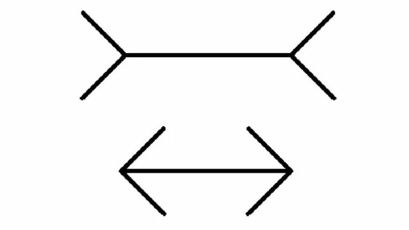 IQ Testi: Hangi satır daha uzun? Bu soruda Einstein bile tereddüt etti